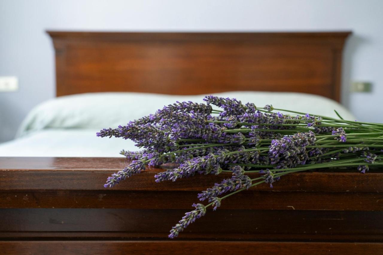 Lago Maggiore A 10 Minuti "Cascina Lavanda" Casalzuigno Zewnętrze zdjęcie