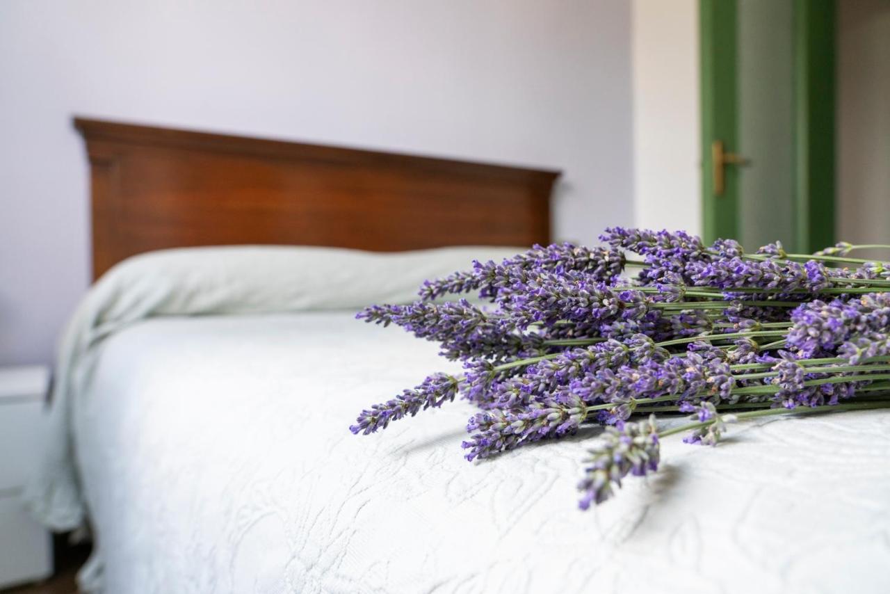 Lago Maggiore A 10 Minuti "Cascina Lavanda" Casalzuigno Zewnętrze zdjęcie