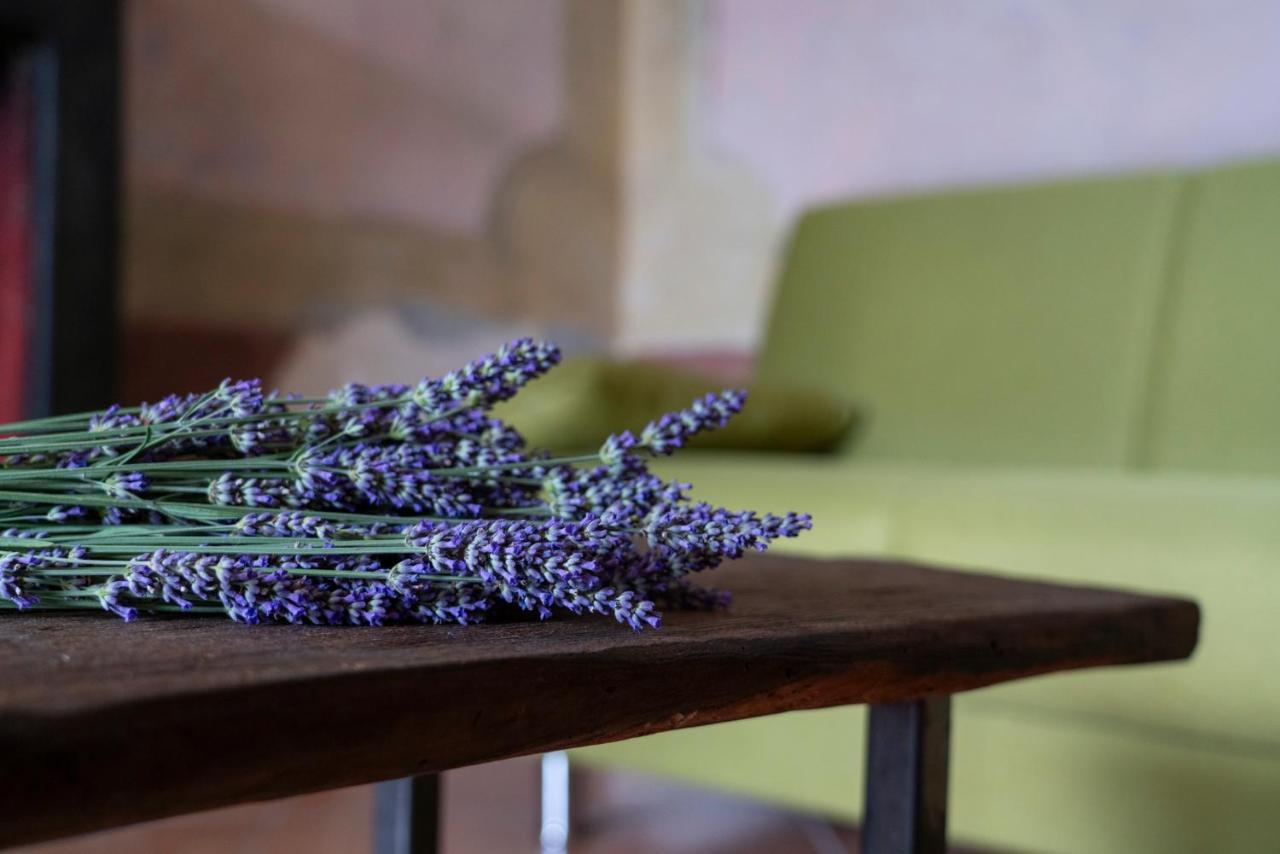 Lago Maggiore A 10 Minuti "Cascina Lavanda" Casalzuigno Zewnętrze zdjęcie